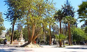 Foto de Copiapó