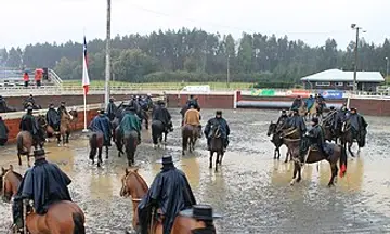 Foto de Loncoche