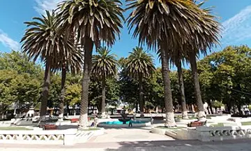 Foto de Parral
