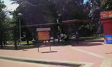 Foto de Pinto