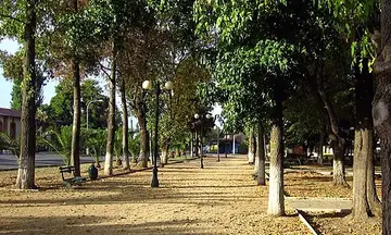 Foto de Teno